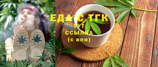 индика Алексин