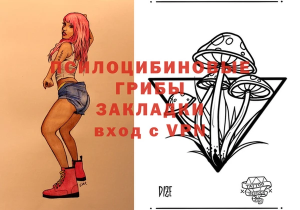 индика Алексин