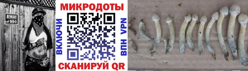 hydra ТОР  Шимановск  darknet клад  Псилоцибиновые грибы мухоморы 